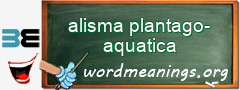 WordMeaning blackboard for alisma plantago-aquatica
